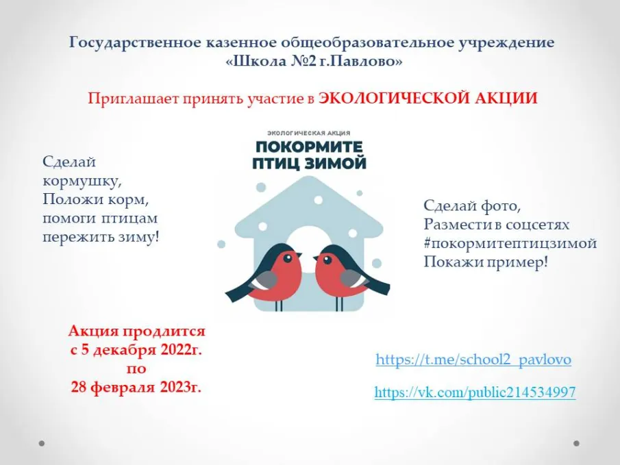 Внимание! Стартует акция «Поддержим птиц зимой!»