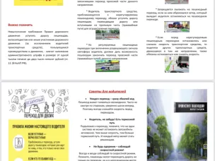 Водитель, пропусти пешехода!