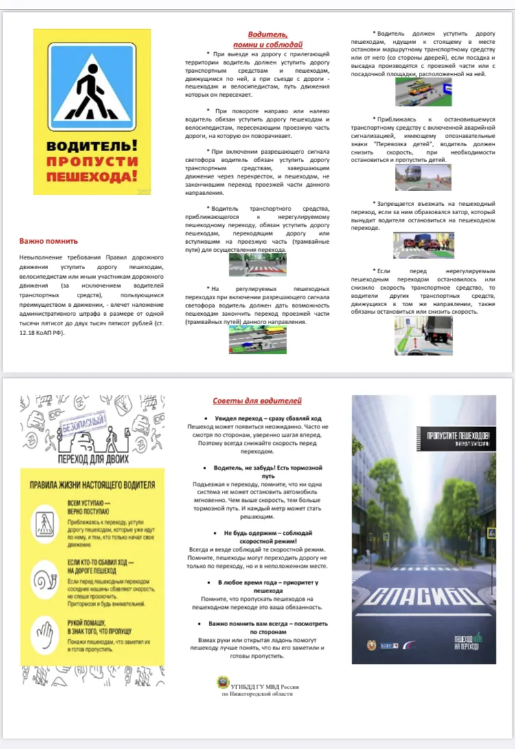 Водитель, пропусти пешехода!