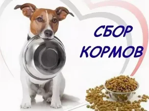 Акция  "Поможем бездомным животным!"