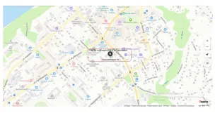 Основные сведения'