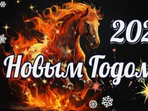 С Новым 2026 годом !