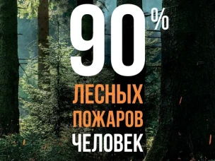 Федеральная информационная  противопожарная  кампания «Останови огонь!»
